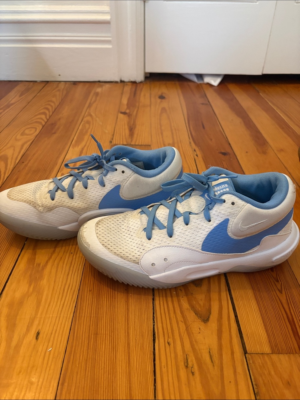 Nike Women’s Hyper-quick Basketball/Volleyball/Court Shoes | size 6 | fairy worn